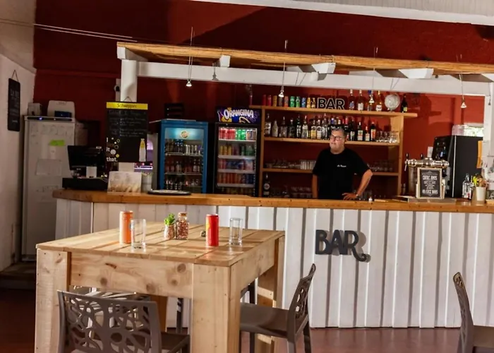 Zecamping 4 Etoiles Dog Friendly Piscine Chauffee A 3km De La 4* Saint-Cyprien
